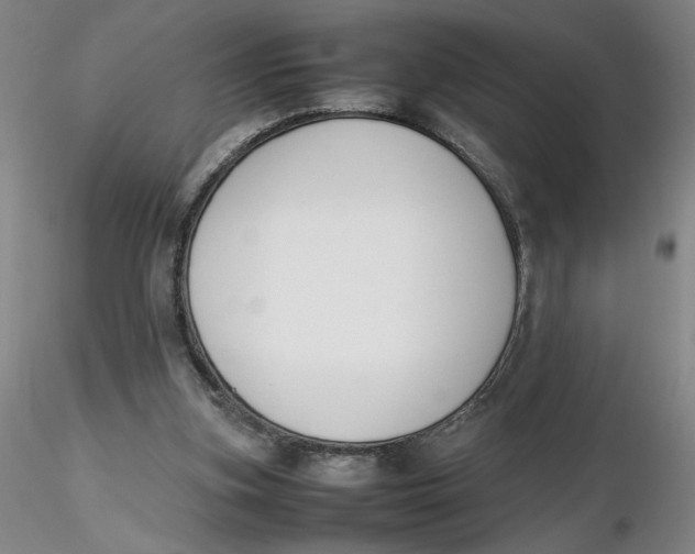 X0000116270155200912211805