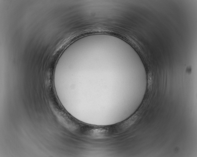 X0000116270158200912211805