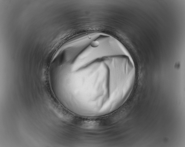 X0000116270161200912211805