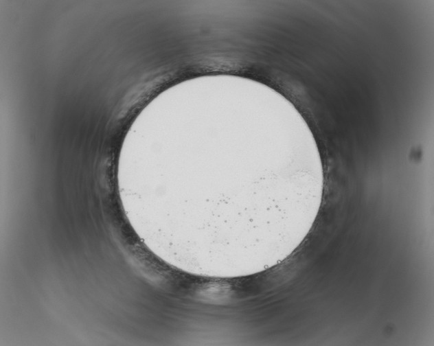 X0000116270162200912211805