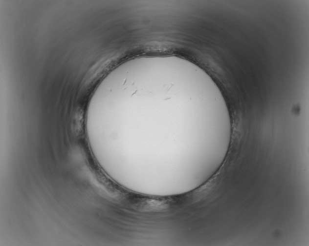 X0000116270166200912211805