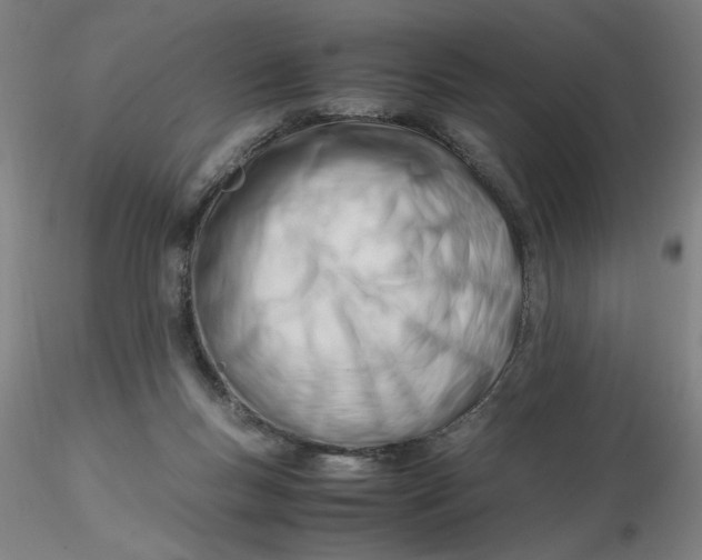 X0000116270167200912211805