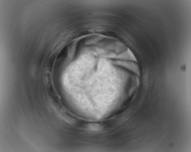 X0000116270169200912211805