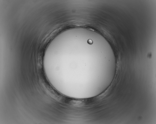 X0000116270170200912211805