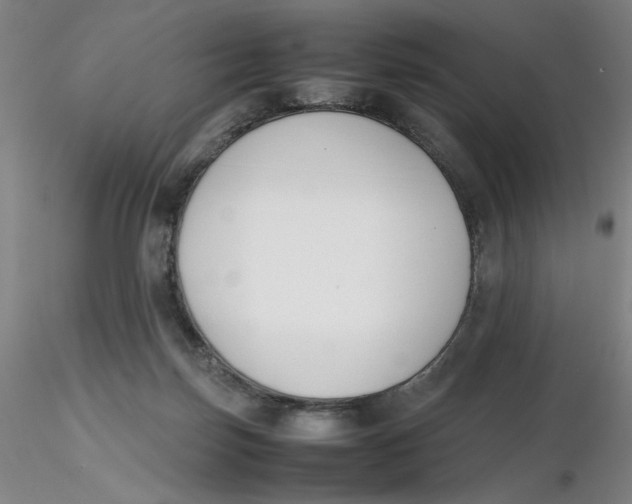 X0000116270171200912211805