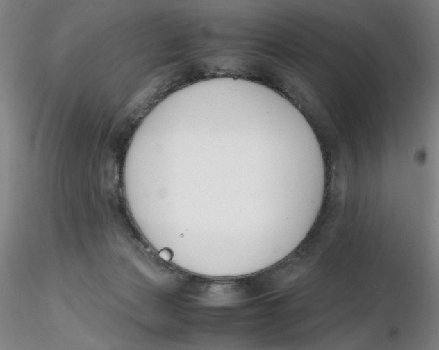 X0000116270173200912211805