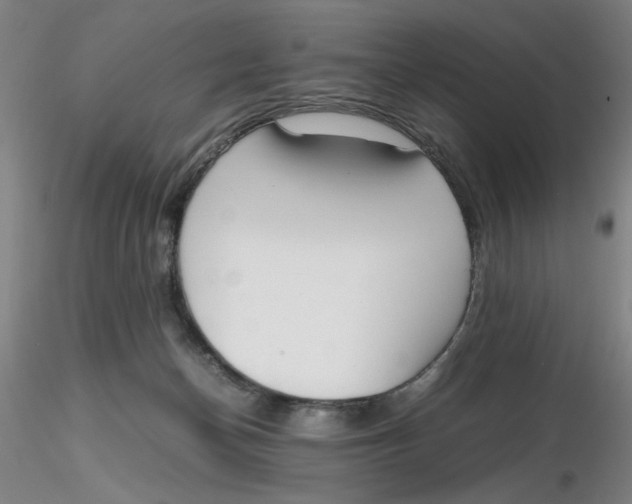 X0000116270174200912211805