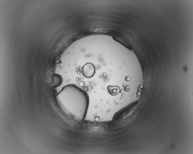 X0000116270175200912211806