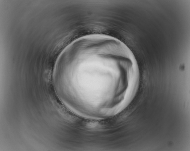 X0000116270177200912211806