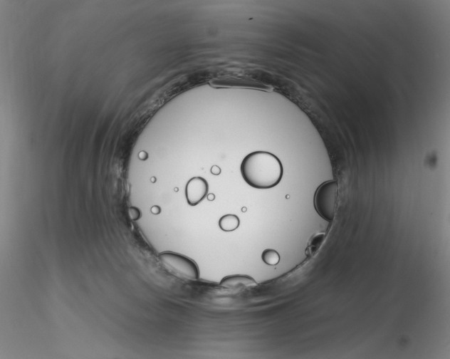 X0000116270178200912211806