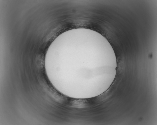X0000116270179200912211806