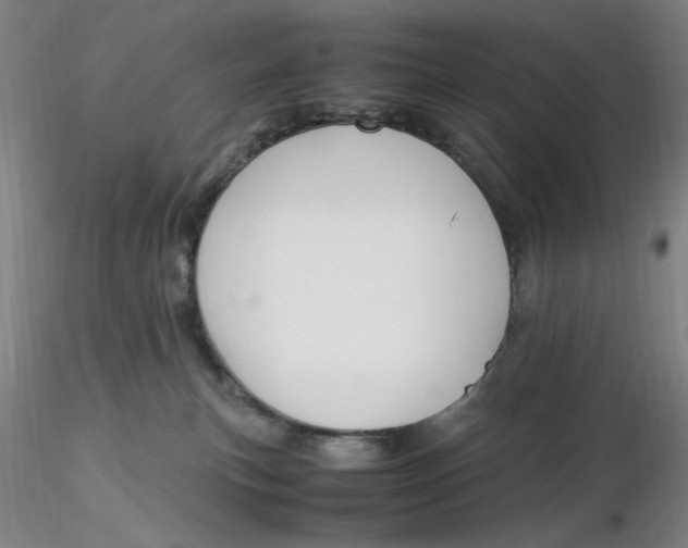 X0000116270183200912211806