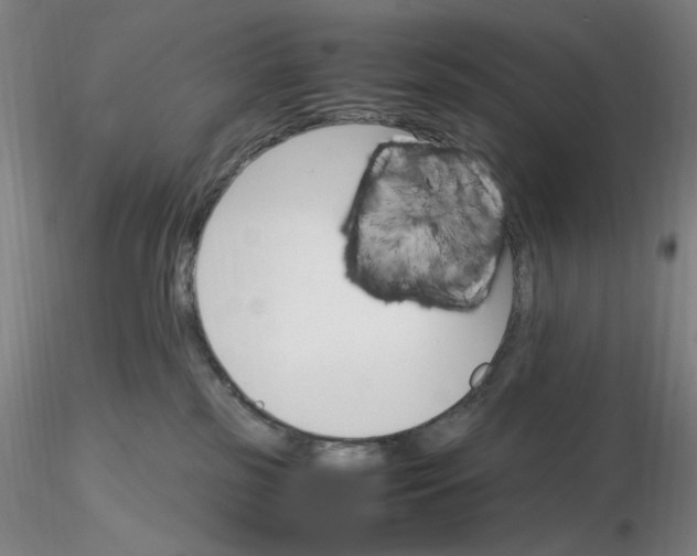 X0000116270185200912211806