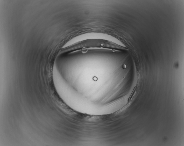 X0000116270186200912211806