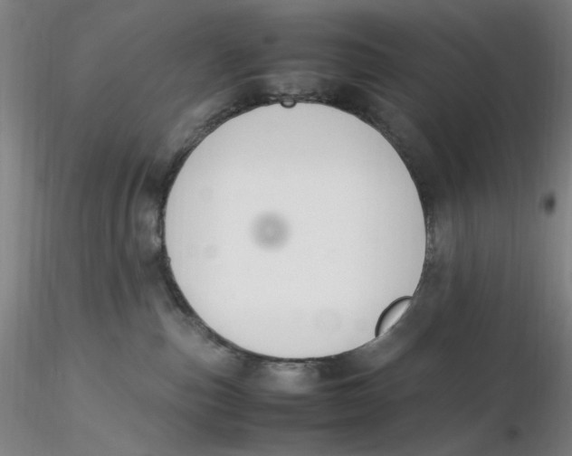 X0000116270187200912211806