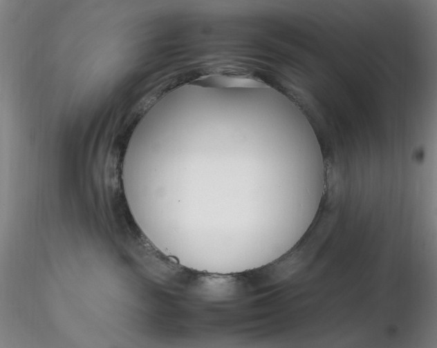 X0000116270189200912211806