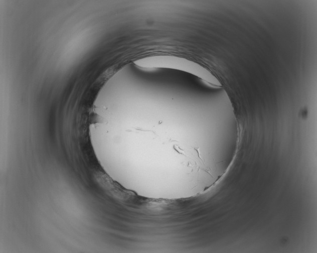 X0000116270190200912211806