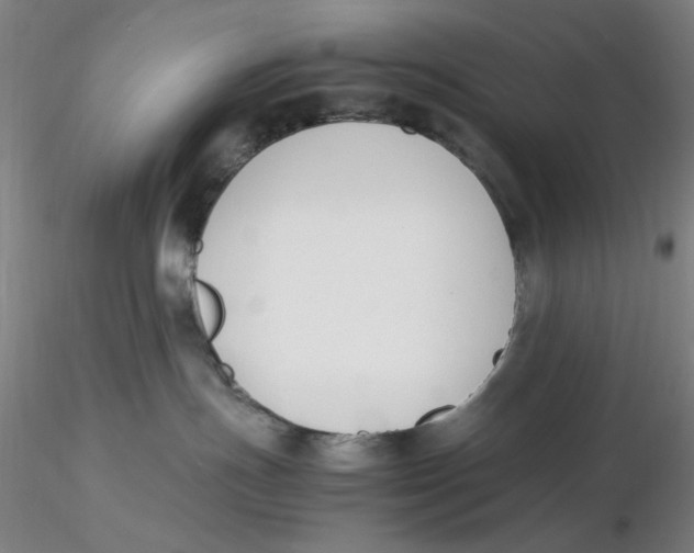 X0000116270191200912211806