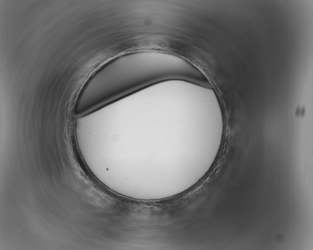X0000116270193200912211805