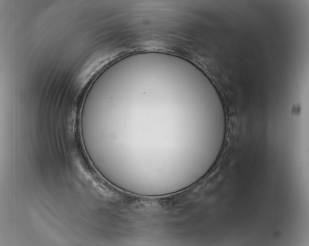 X0000116270194200912211805