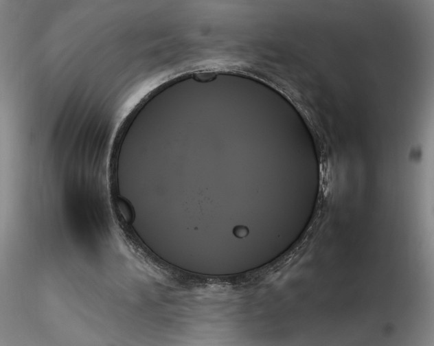 X0000116270196200912211805