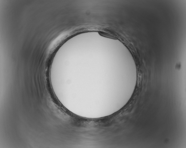 X0000116270197200912211805