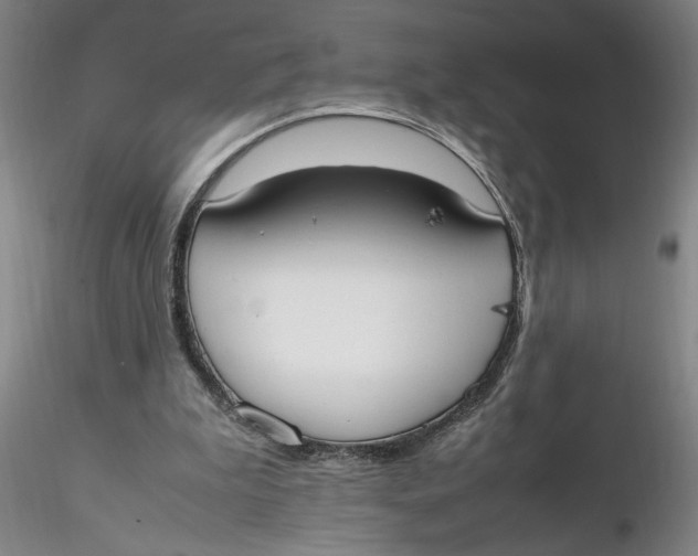 X0000116270199200912211805