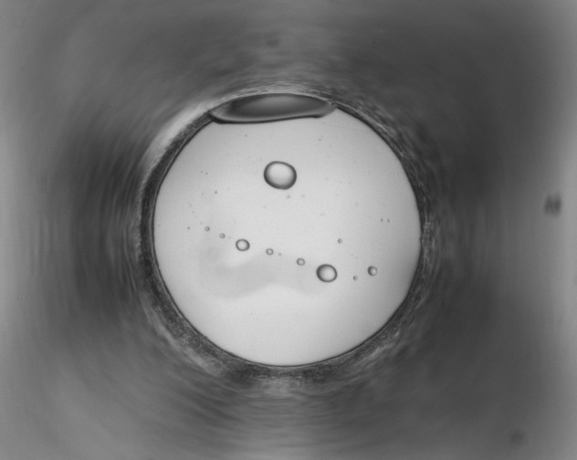 X0000116270200200912211805
