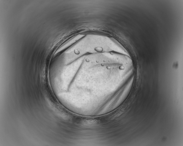 X0000116270202200912211805