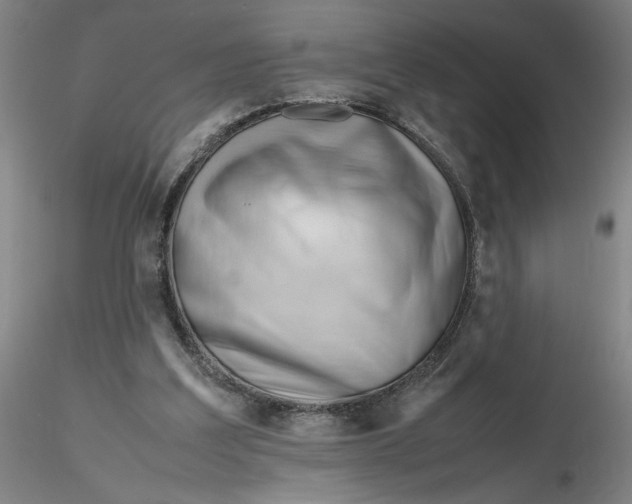 X0000116270203200912211805