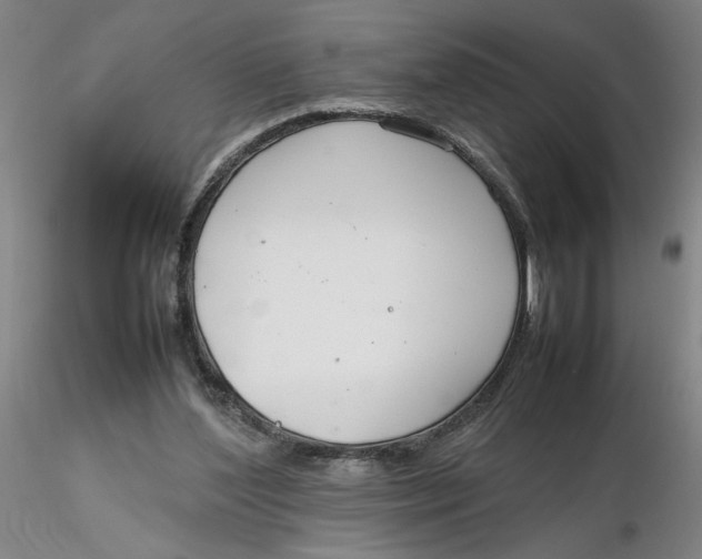 X0000116270204200912211805