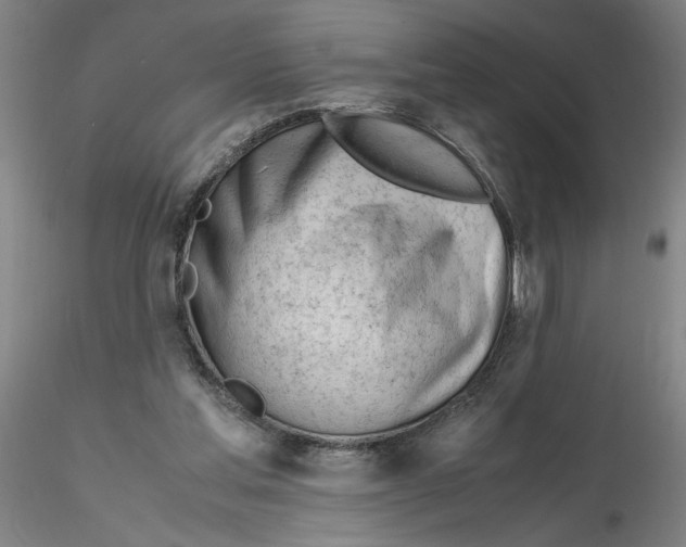 X0000116270205200912211805