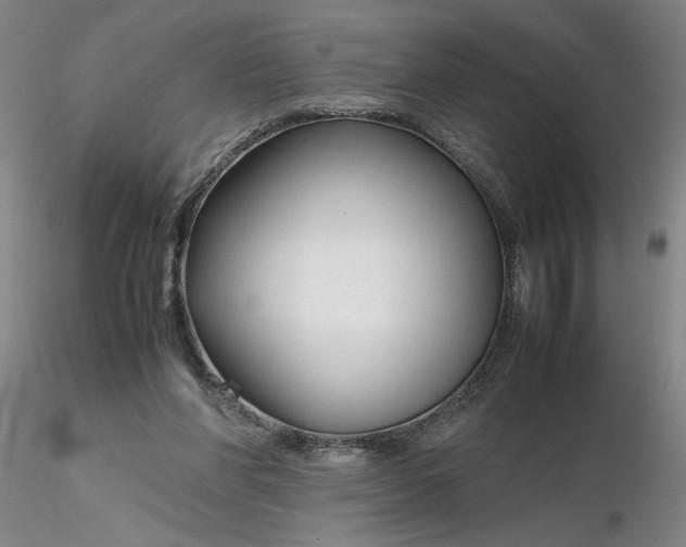 X0000116270206200912211805