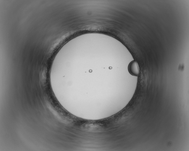 X0000116270208200912211805