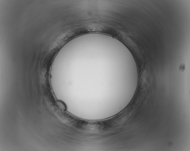 X0000116270209200912211805
