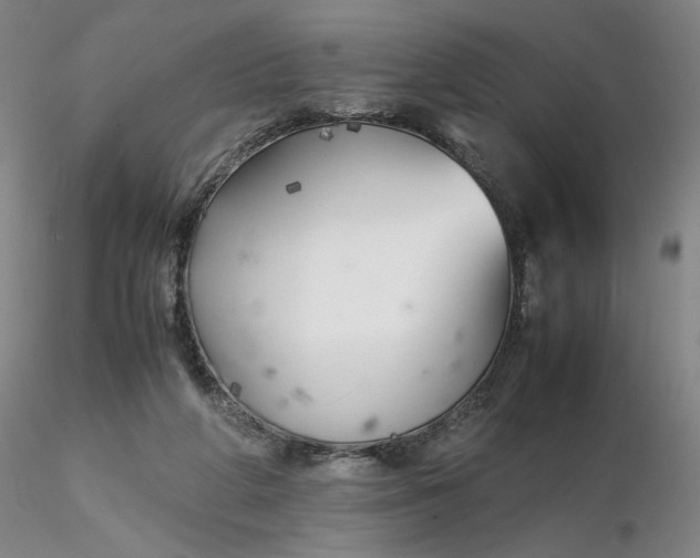 X0000116270210200912211805