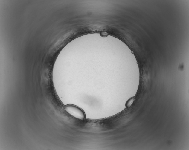 X0000116270211200912211805