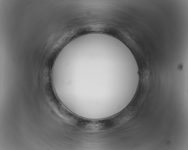 X0000116270213200912211805