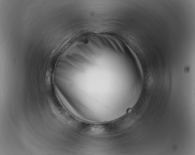 X0000116270214200912211805