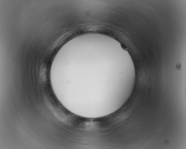 X0000116270216200912211805