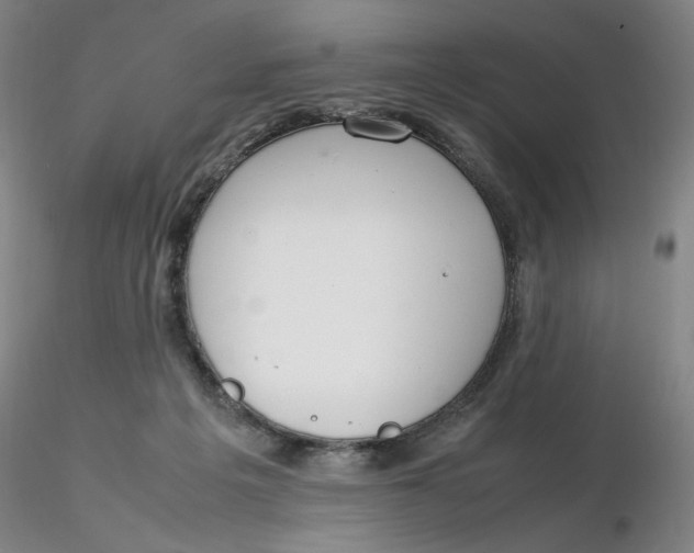 X0000116270217200912211805