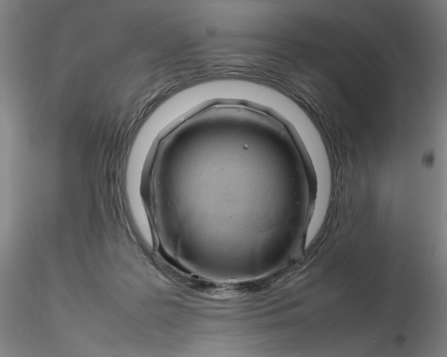 X0000116270219200912211805