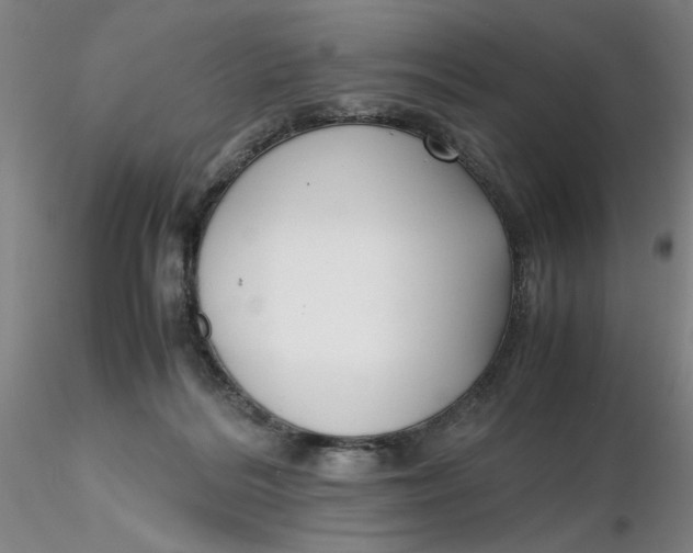 X0000116270220200912211805