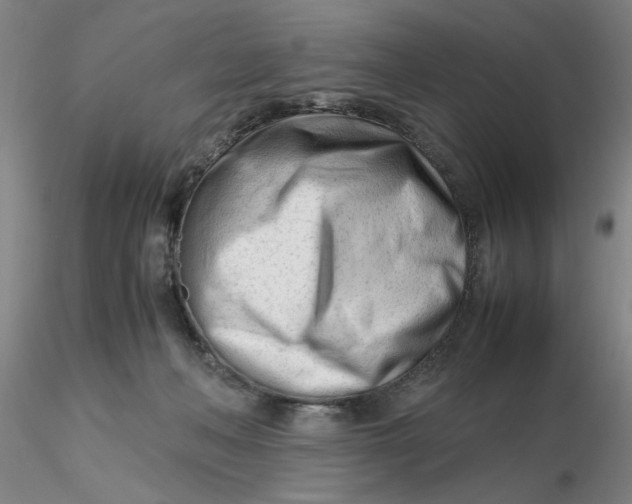 X0000116270222200912211805