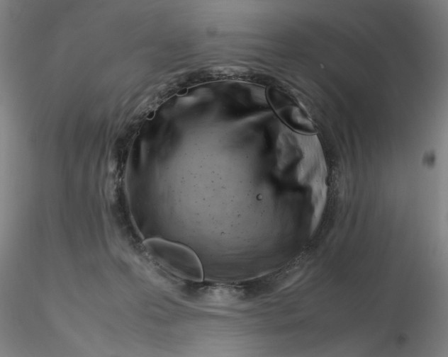 X0000116270223200912211805