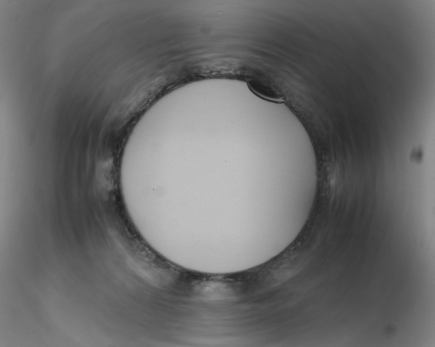 X0000116270224200912211805