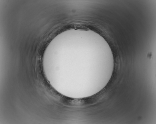 X0000116270225200912211805