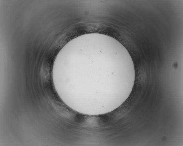 X0000116270226200912211805