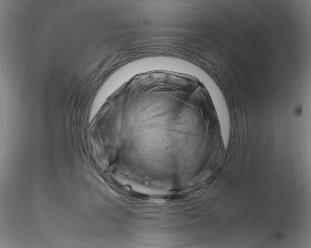 X0000116270227200912211805