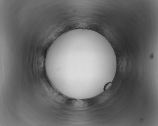 X0000116270230200912211805